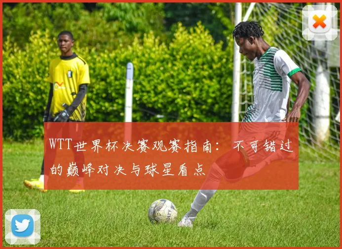 WTT世界杯决赛观赛指南:不可错过的巅峰对决与球星看点