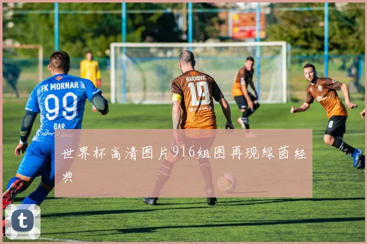 世界杯高清图片916组图再现绿茵经典