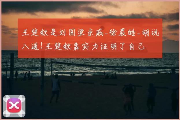 王楚钦是刘国梁亲戚_徐晨皓_胡说八道!王楚钦靠实力证明了自己