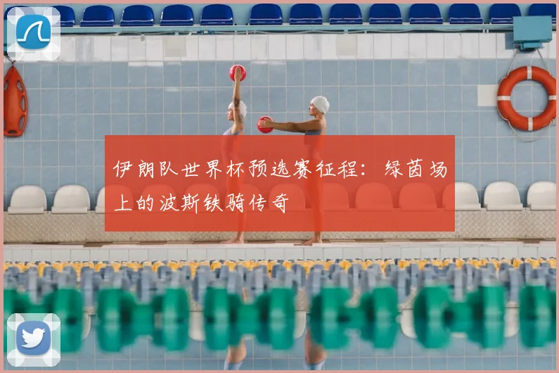 伊朗队世界杯预选赛征程：绿茵场上的波斯铁骑传奇