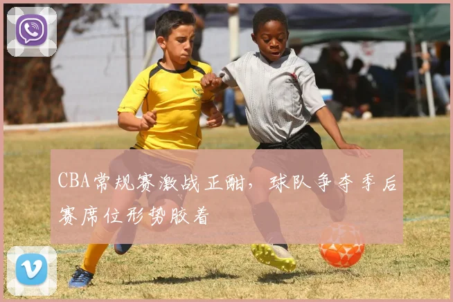 CBA常规赛激战正酣,球队争夺季后赛席位形势胶着