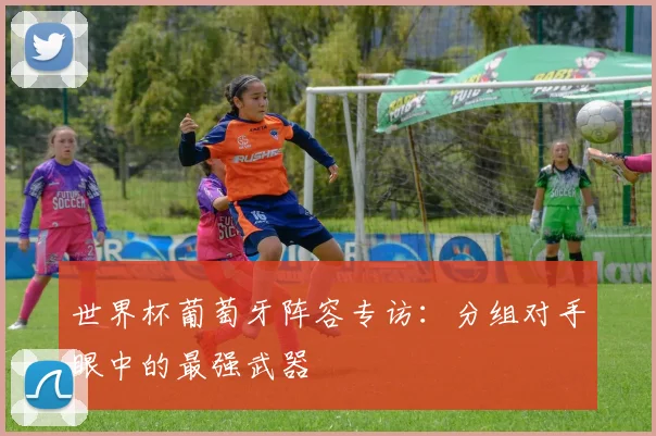 世界杯葡萄牙阵容专访:分组对手眼中的最强武器