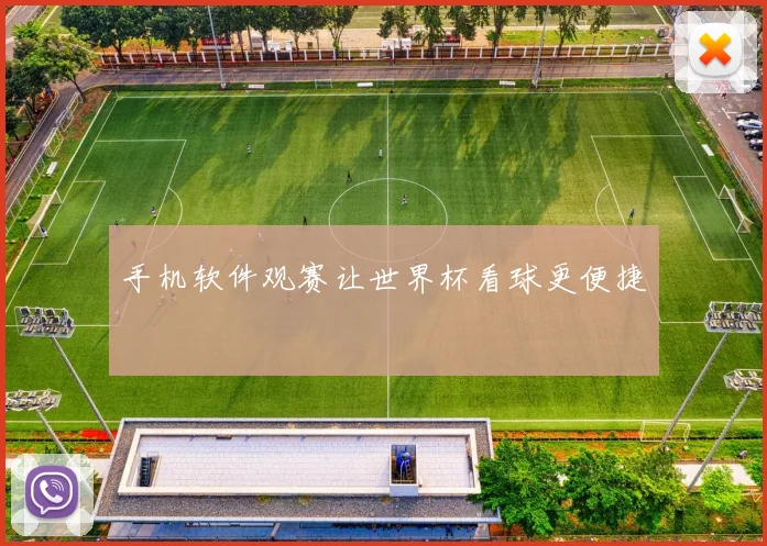 手机软件观赛让世界杯看球更便捷