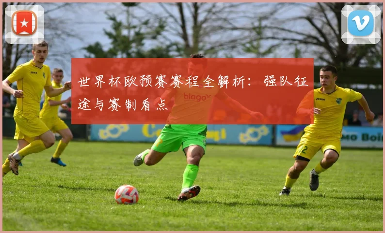 世界杯欧预赛赛程全解析:强队征途与赛制看点