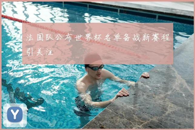 法国队公布世界杯名单备战新赛程引关注