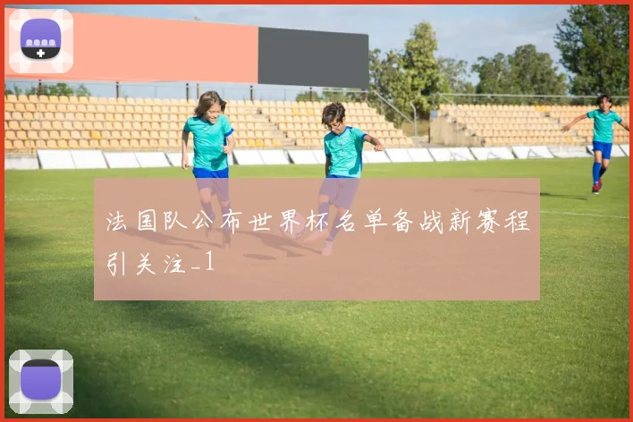 法国队公布世界杯名单备战新赛程引关注_1