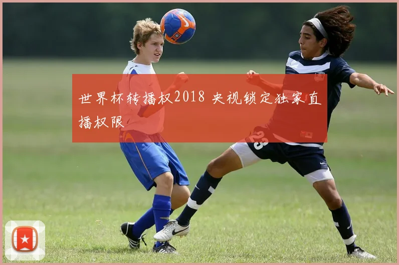 世界杯转播权2018 央视锁定独家直播权限