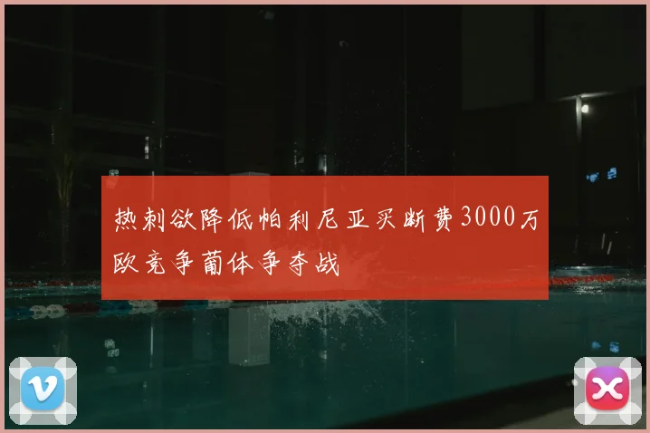热刺欲降低帕利尼亚买断费3000万欧竞争葡体争夺战