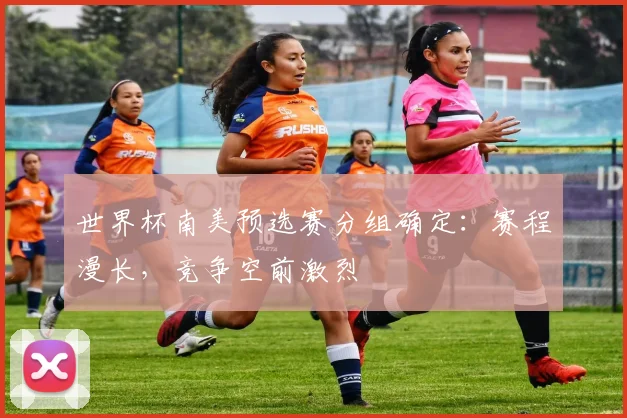 世界杯南美预选赛分组确定：赛程漫长，竞争空前激烈