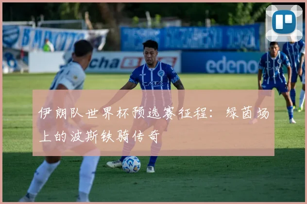 伊朗队世界杯预选赛征程：绿茵场上的波斯铁骑传奇