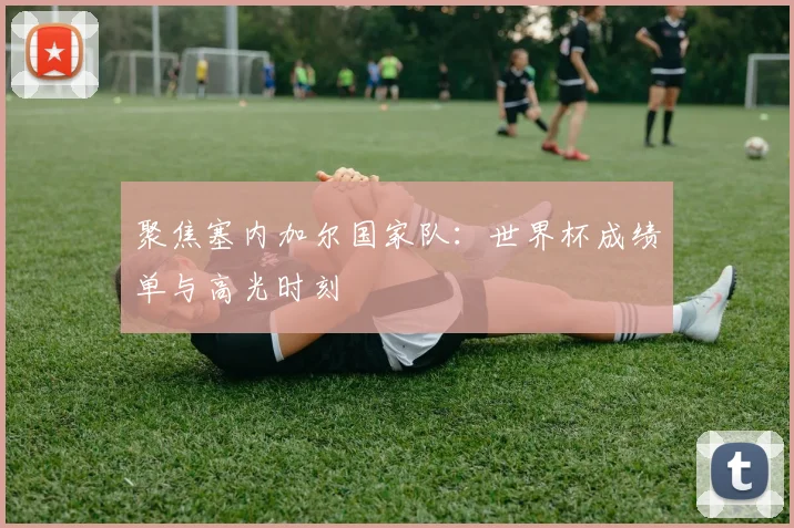 聚焦塞内加尔国家队:世界杯成绩单与高光时刻