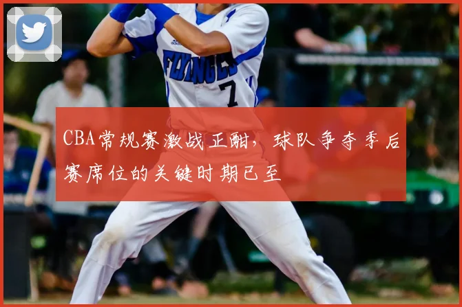 CBA常规赛激战正酣,球队争夺季后赛席位的关键时期已至