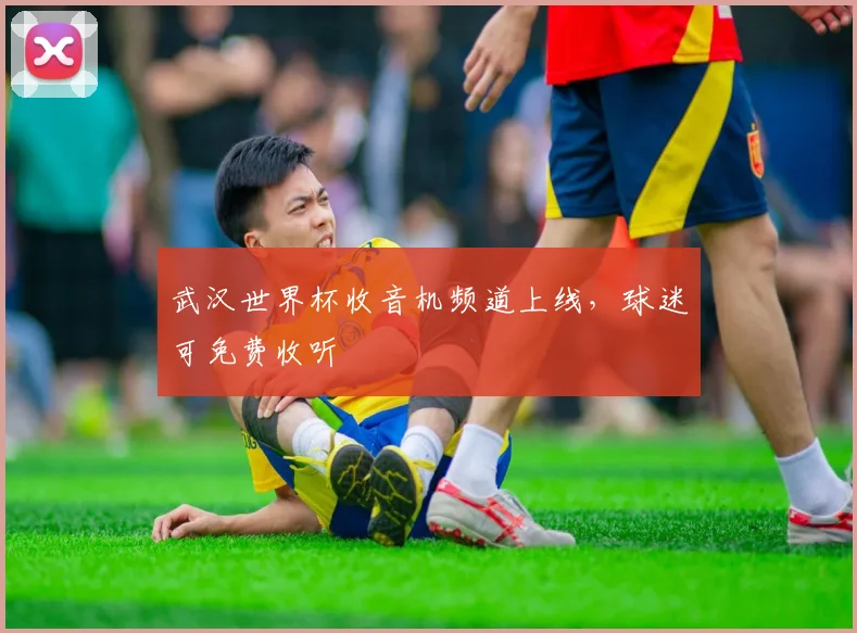 武汉世界杯收音机频道上线,球迷可免费收听