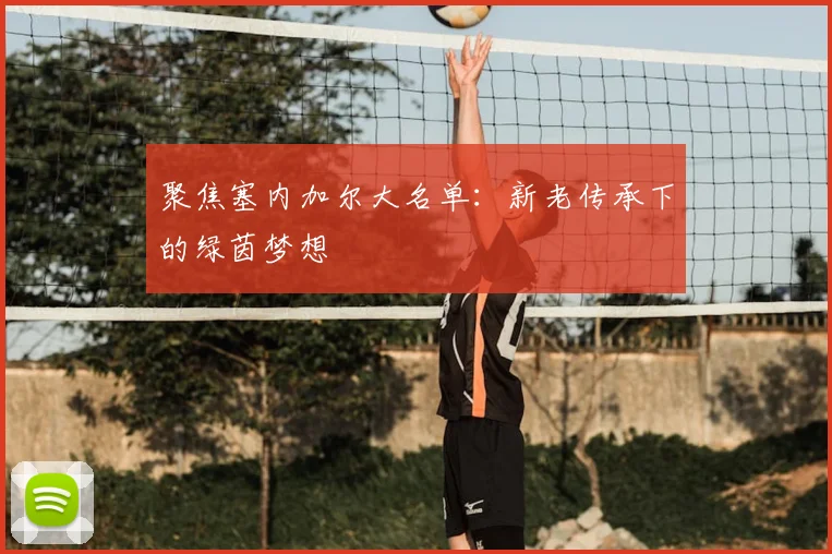 聚焦塞内加尔大名单:新老传承下的绿茵梦想